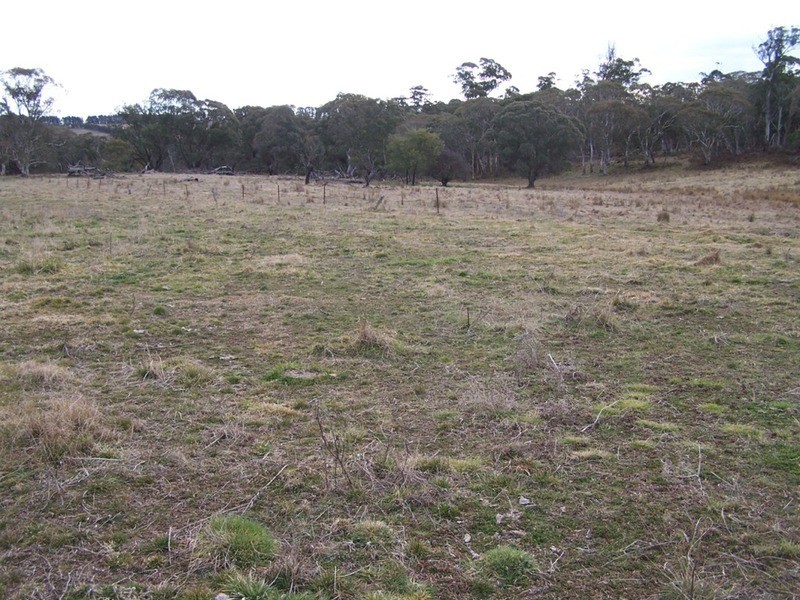 Lot 4 Woodhouselee  Road, Laggan NSW 2583