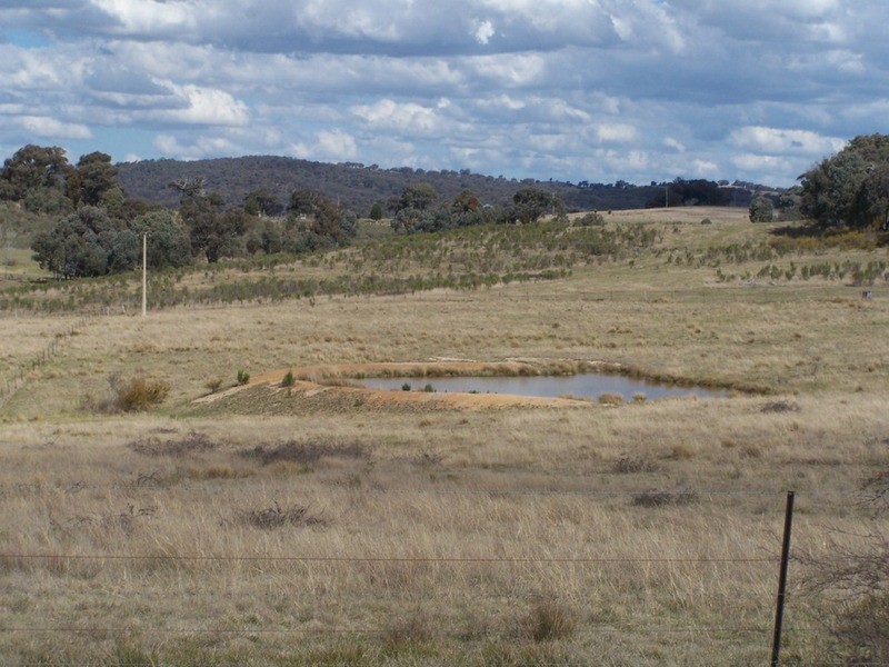 1313 Corringle  Lane, Taylors Flat NSW 2586