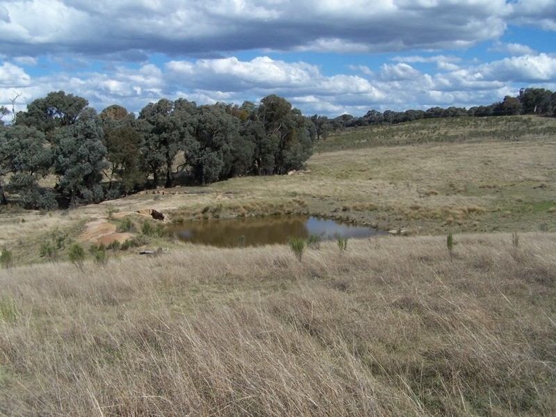 1313 Corringle  Lane, Taylors Flat NSW 2586