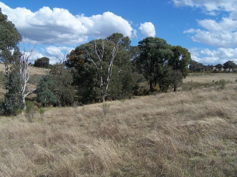 1313 Corringle  Lane, Taylors Flat NSW 2586