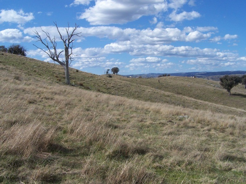 1313 Corringle  Lane, Taylors Flat NSW 2586