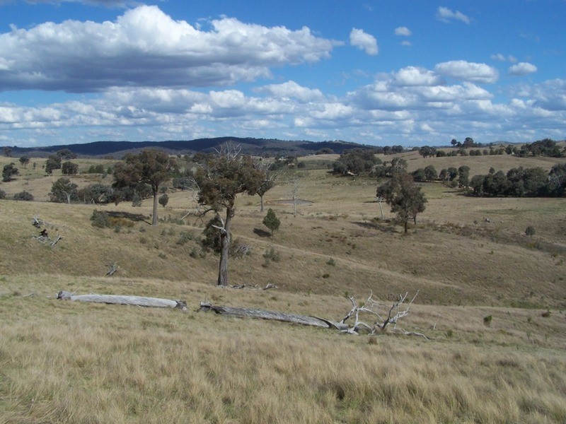 1313 Corringle  Lane, Taylors Flat NSW 2586