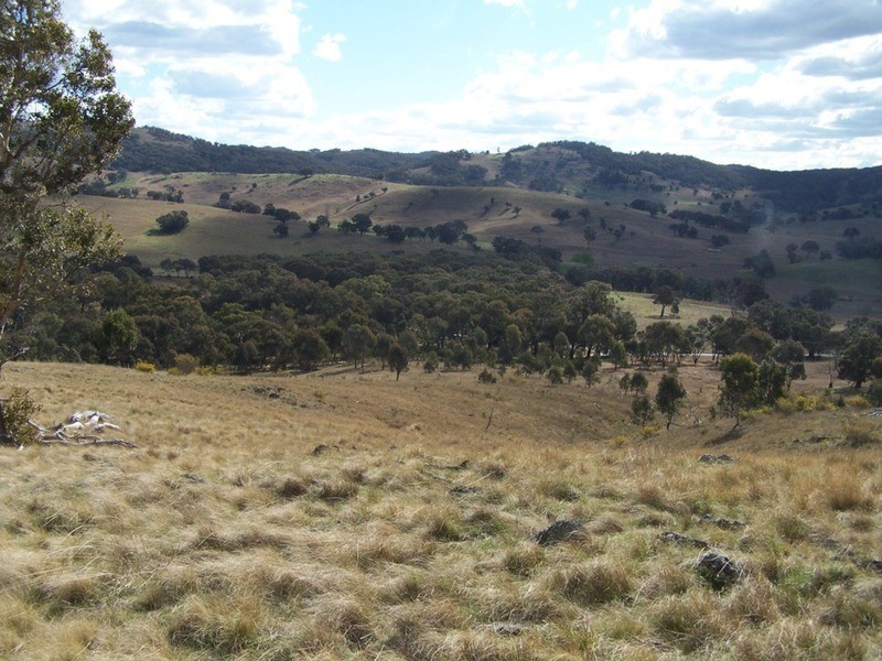 1313 Corringle  Lane, Taylors Flat NSW 2586