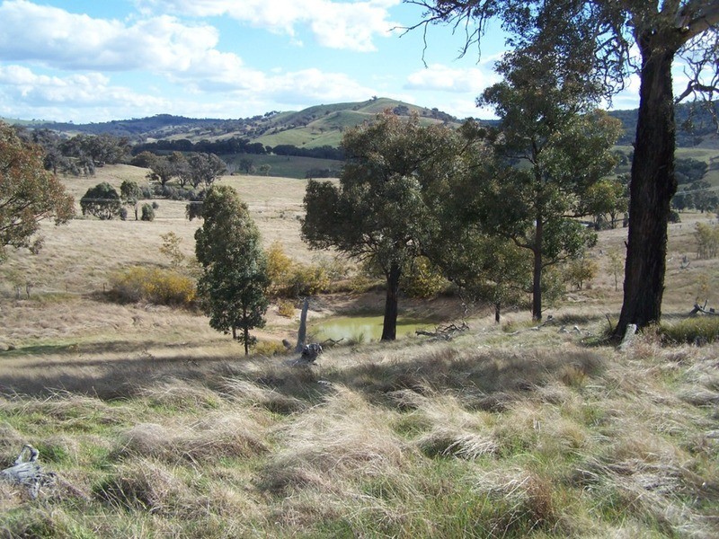 1313 Corringle  Lane, Taylors Flat NSW 2586