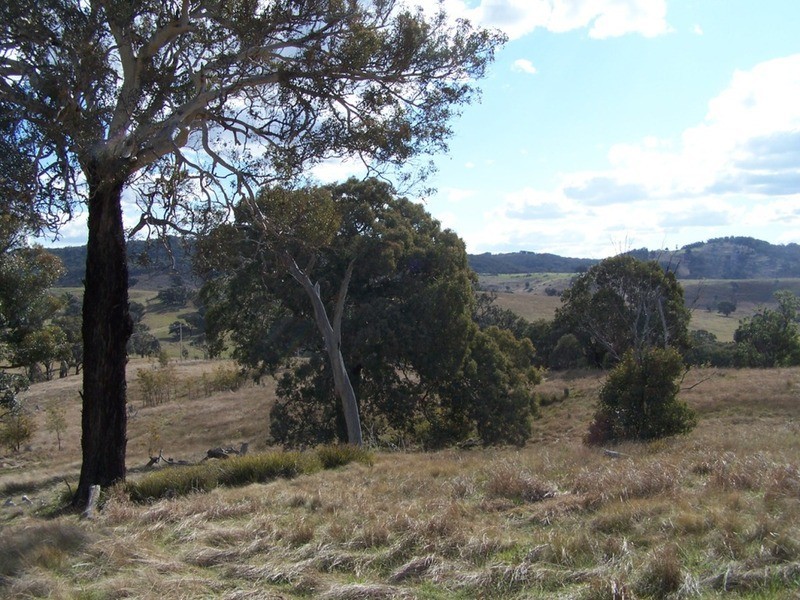 1313 Corringle  Lane, Taylors Flat NSW 2586