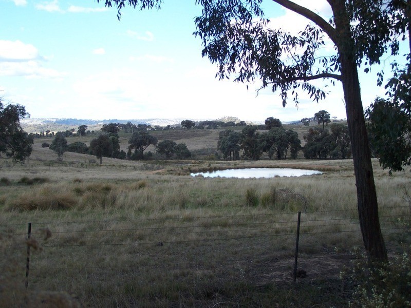 1313 Corringle  Lane, Taylors Flat NSW 2586