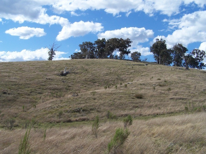 1313 Corringle  Lane, Taylors Flat NSW 2586