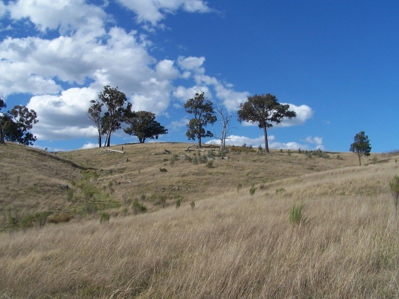 1313 Corringle  Lane, Taylors Flat NSW 2586