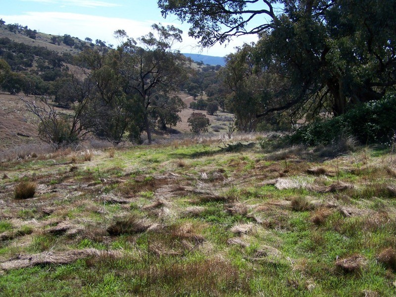 Lot 2 Decca  Road, Bigga NSW 2583