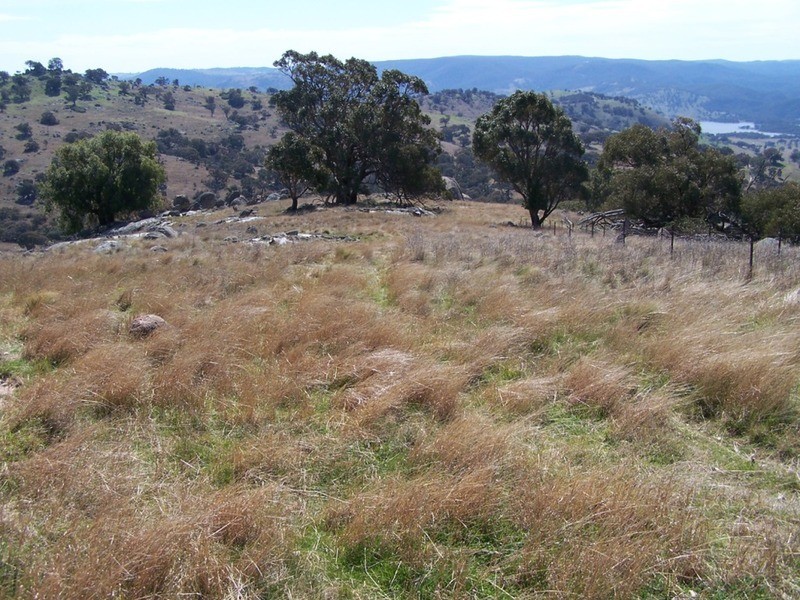 Lot 2 Decca  Road, Bigga NSW 2583