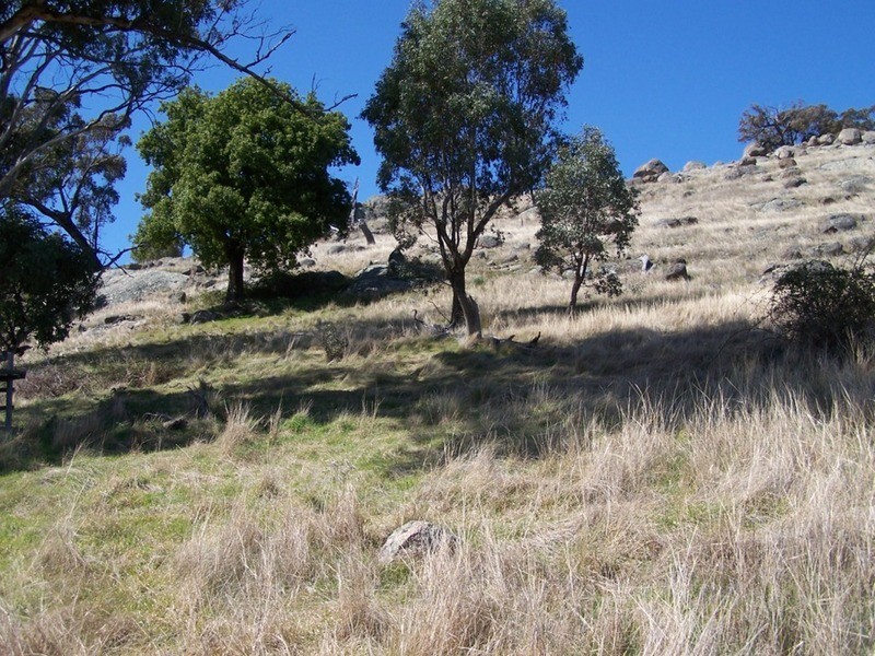 Lot 2 Decca  Road, Bigga NSW 2583