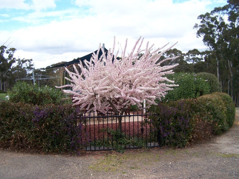 Turkey Ridge, 2394 Gunning  Road, Grabben Gullen NSW 2583