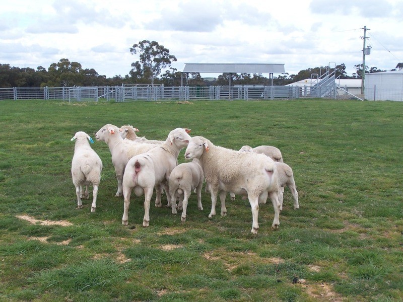 Turkey Ridge, 2394 Gunning  Road, Grabben Gullen NSW 2583