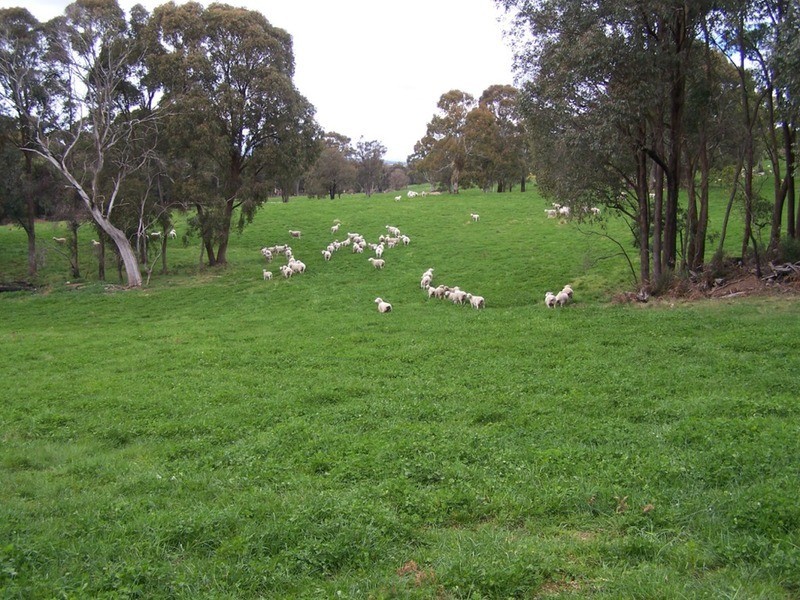 Turkey Ridge, 2394 Gunning  Road, Grabben Gullen NSW 2583