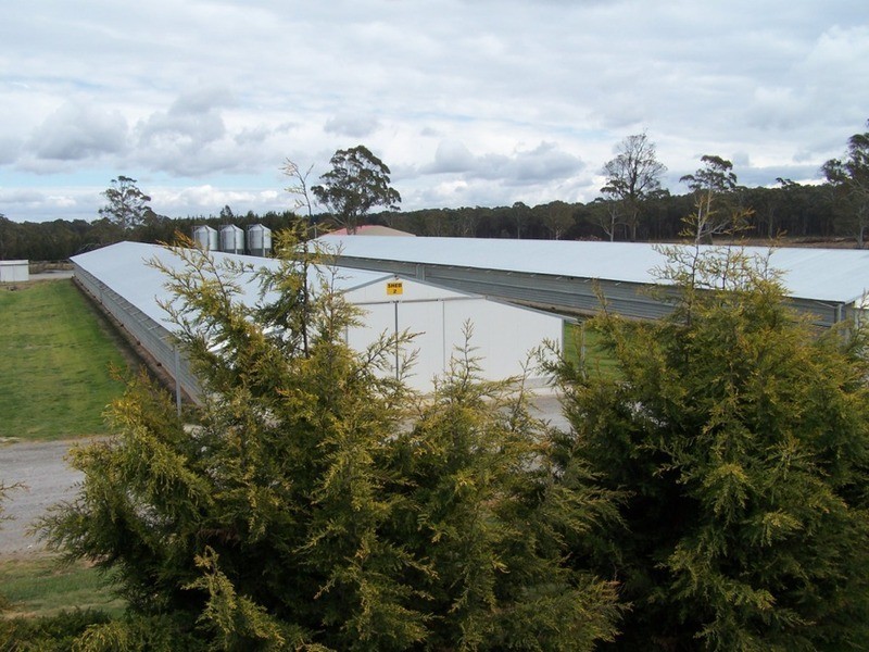 Turkey Ridge, 2394 Gunning  Road, Grabben Gullen NSW 2583