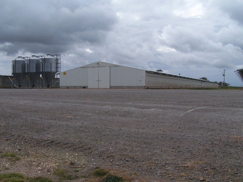 Turkey Ridge, 2394 Gunning  Road, Grabben Gullen NSW 2583