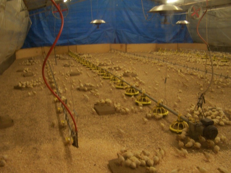 Turkey Ridge, 2394 Gunning  Road, Grabben Gullen NSW 2583