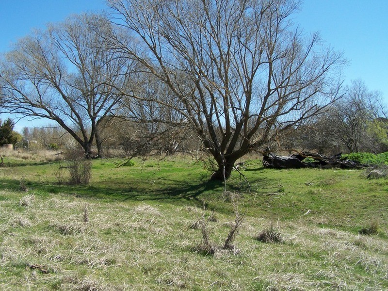 Lots 91 – 93 Church  Street, Taralga NSW 2580