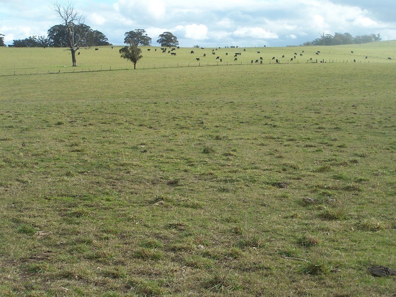 Lot 9 Bannaby Road, Bannaby NSW 2580