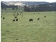 Lot 7 Bannaby Road, Bannaby NSW 2580