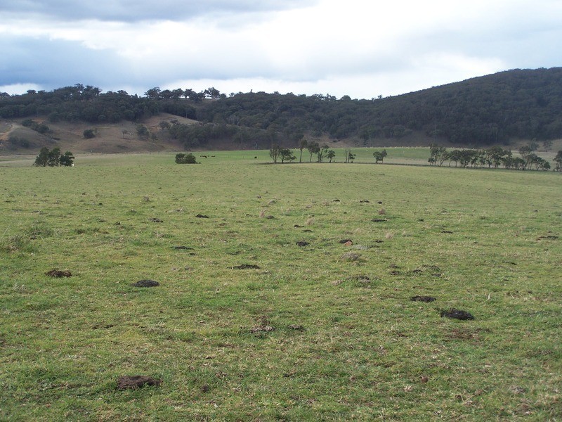 Lot 7 Bannaby Road, Bannaby NSW 2580