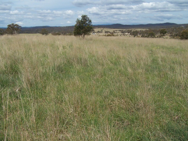 Lot 133 Lilyvale  Road, Boro NSW 2622