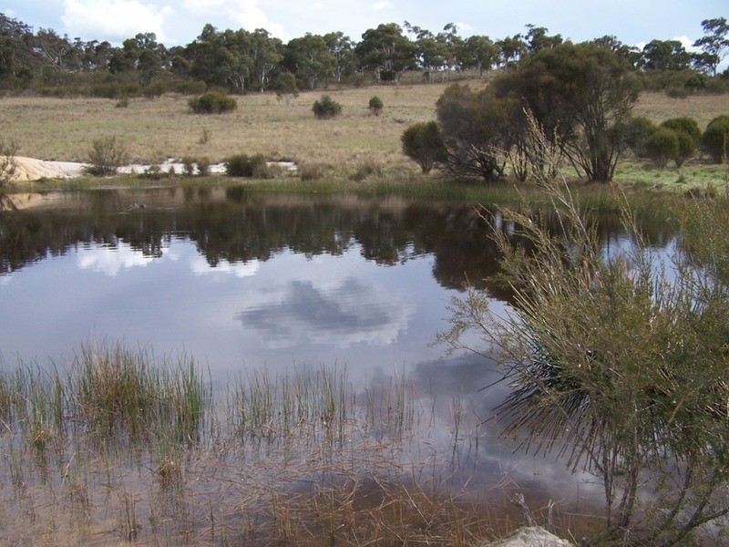 Lot 133 Lilyvale  Road, Boro NSW 2622