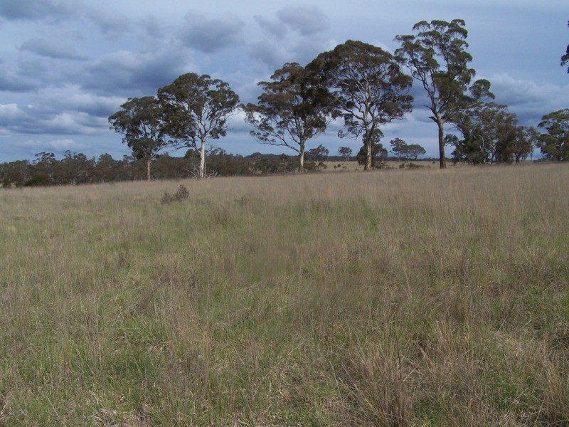 Lot 133 Lilyvale  Road, Boro NSW 2622