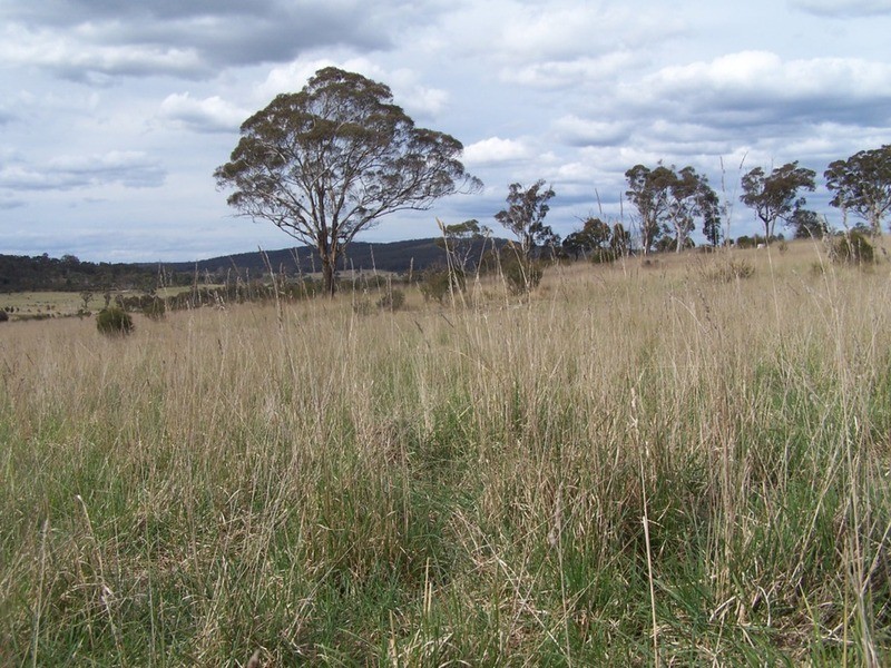 Lot 133 Lilyvale  Road, Boro NSW 2622