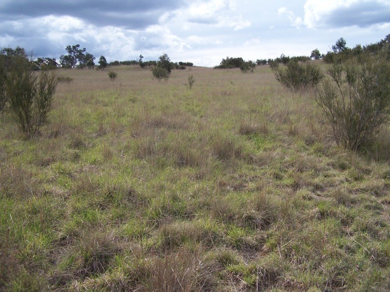 Lot 133 Lilyvale  Road, Boro NSW 2622