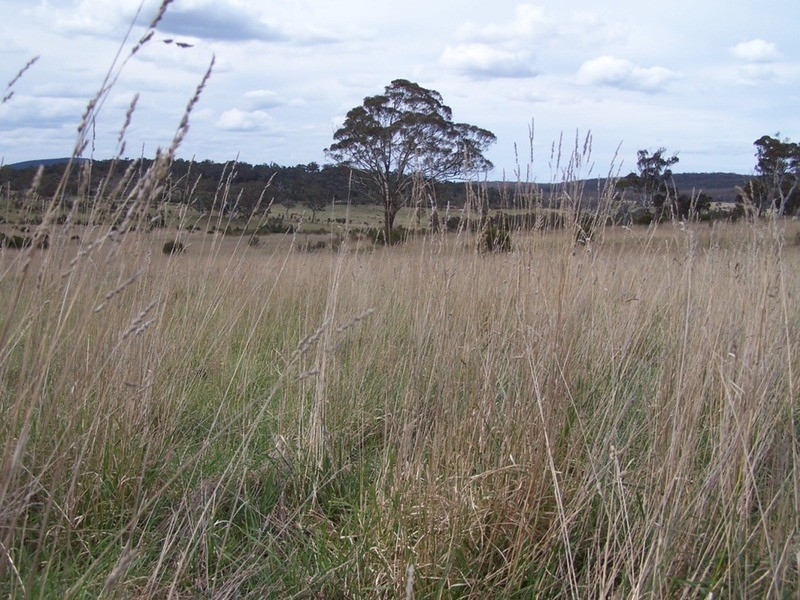 Lot 133 Lilyvale  Road, Boro NSW 2622