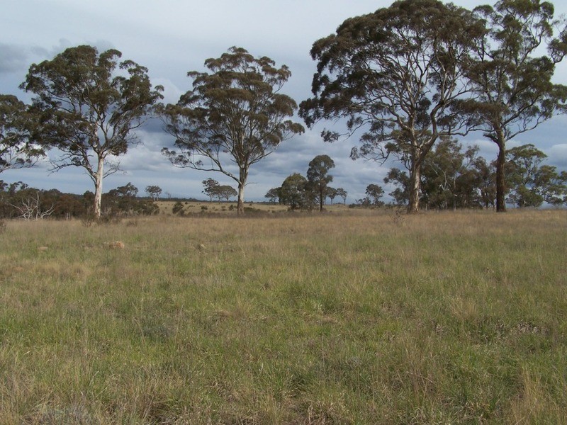 Lot 133 Lilyvale  Road, Boro NSW 2622