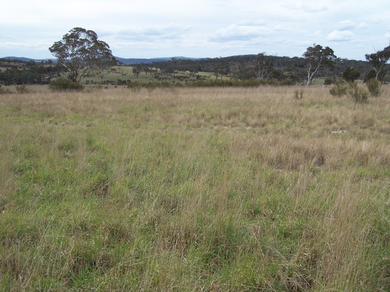 Lot 133 Lilyvale  Road, Boro NSW 2622