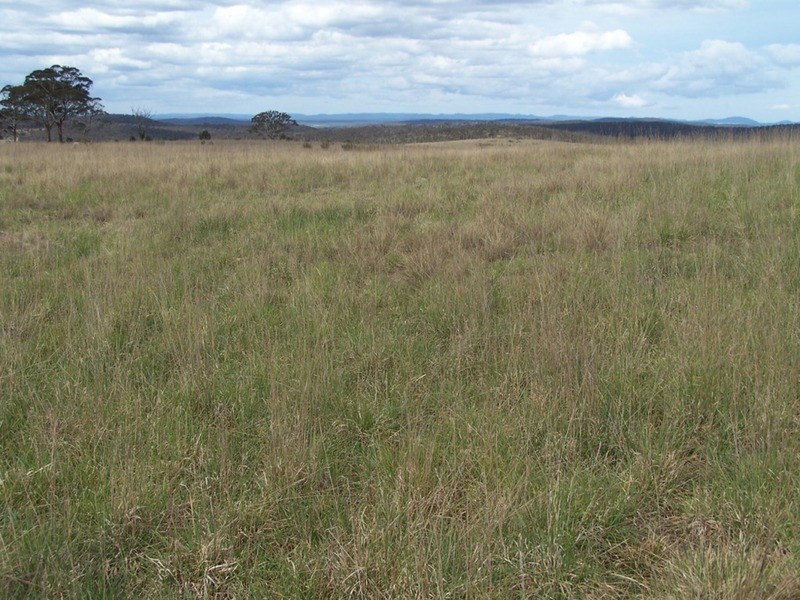 Lot 133 Lilyvale  Road, Boro NSW 2622