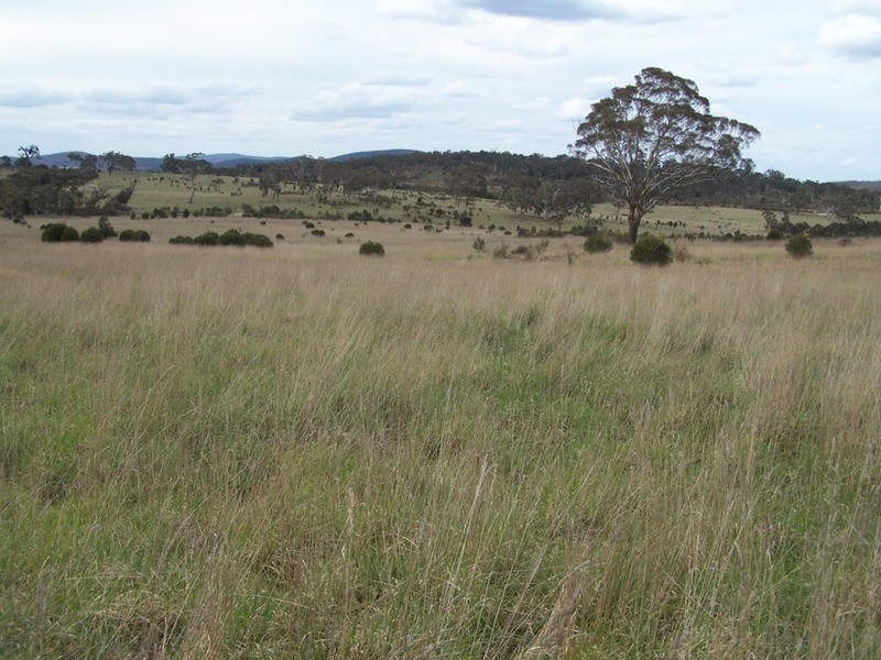 Lot 133 Lilyvale  Road, Boro NSW 2622