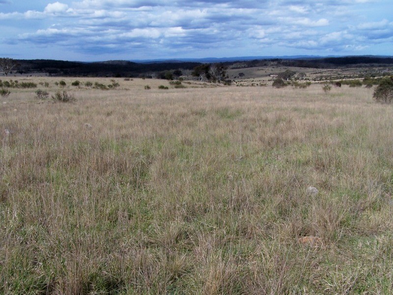 Lot 133 Lilyvale  Road, Boro NSW 2622