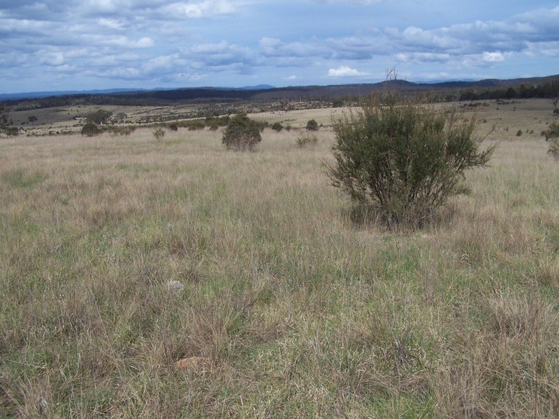 Lot 133 Lilyvale  Road, Boro NSW 2622