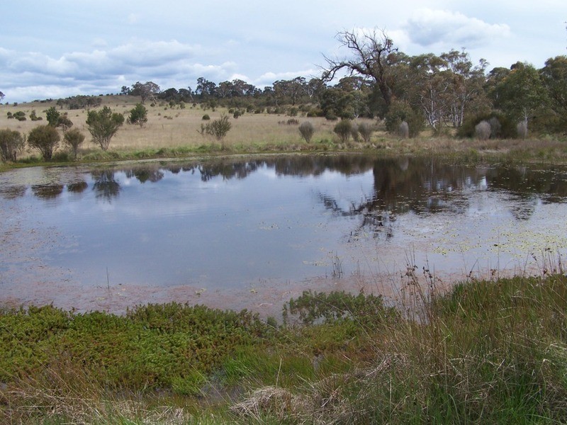 Lot 133 Lilyvale  Road, Boro NSW 2622