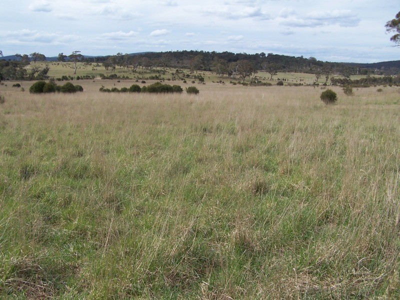 Lot 133 Lilyvale  Road, Boro NSW 2622