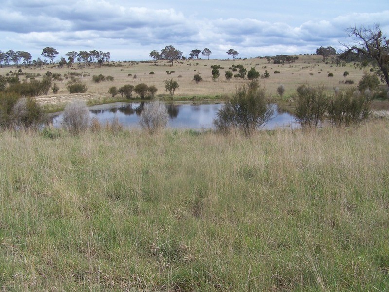 Lot 133 Lilyvale  Road, Boro NSW 2622