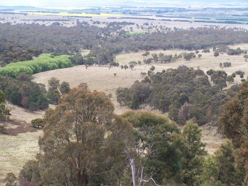 545  Browns Road, Currawang NSW 2580