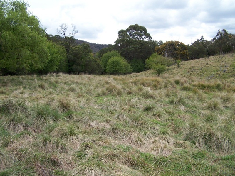 545  Browns Road, Currawang NSW 2580