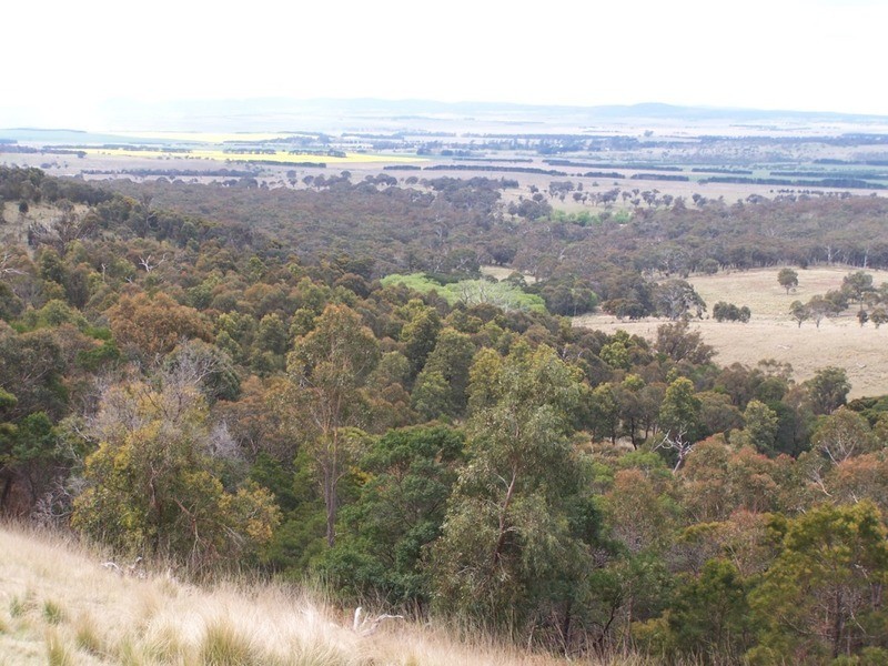 545  Browns Road, Currawang NSW 2580