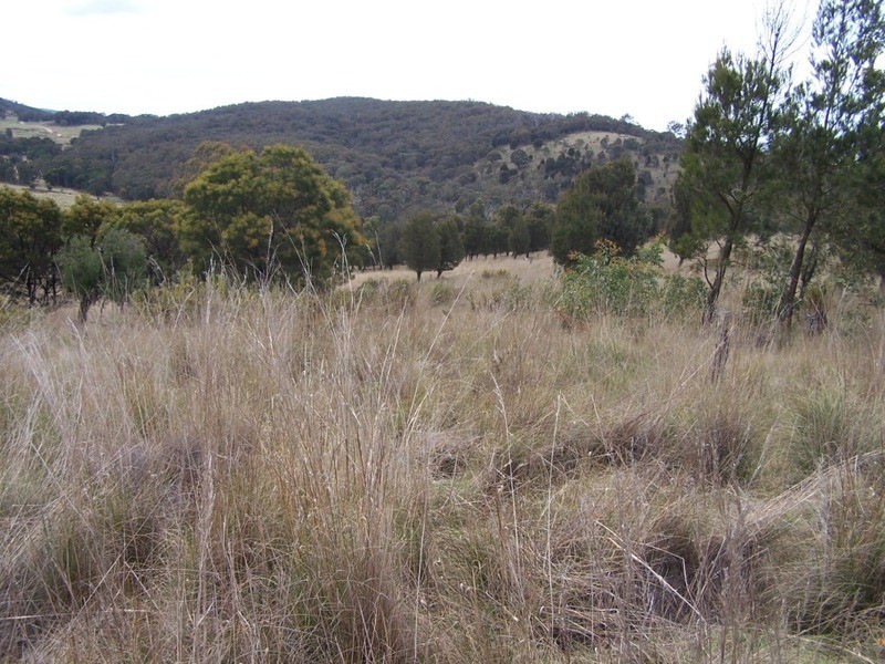 545  Browns Road, Currawang NSW 2580