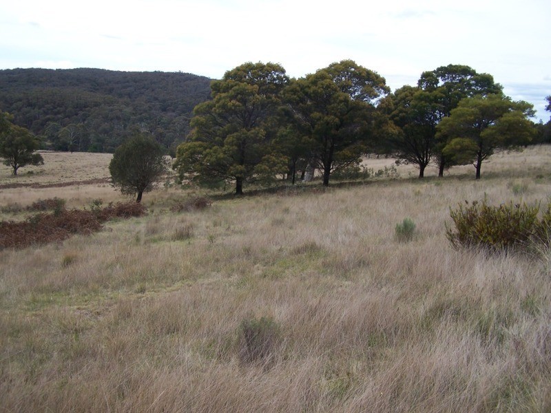 545  Browns Road, Currawang NSW 2580