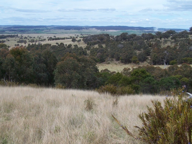 545  Browns Road, Currawang NSW 2580