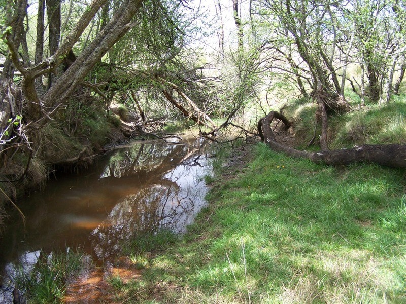 545  Browns Road, Currawang NSW 2580