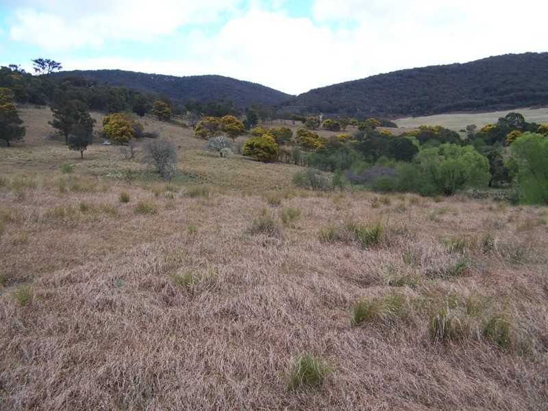 545  Browns Road, Currawang NSW 2580