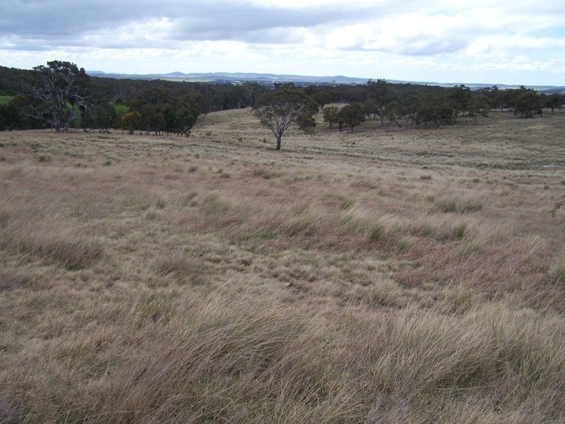 545  Browns Road, Currawang NSW 2580