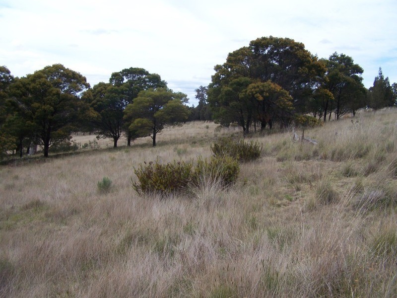 545  Browns Road, Currawang NSW 2580